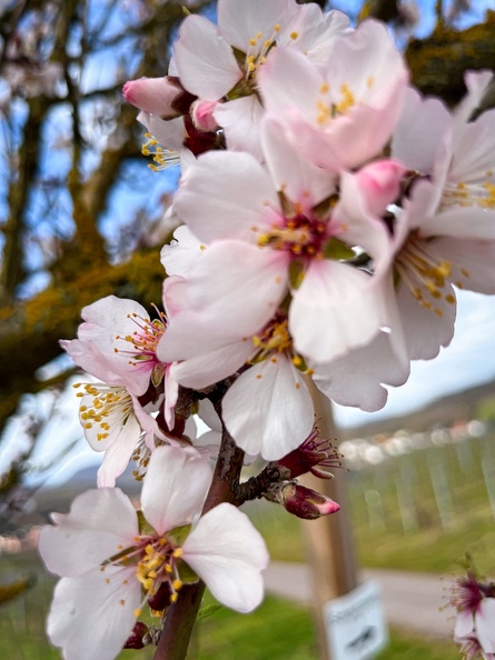 23-03-13 11-24-21 4840.jpeg